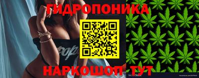 гашишное масло Свободный
