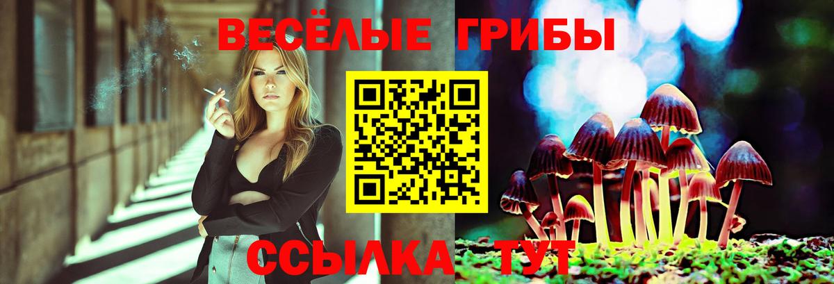 Псилоцибиновые грибы мицелий Шелехов