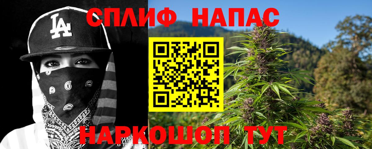 Конопля Bruce Banner  Каннабис план  Шелехов  Бошки марихуана THC 21%  Вход с VPN 
